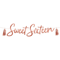 Blush Sweet 16 Banner, 6 FT