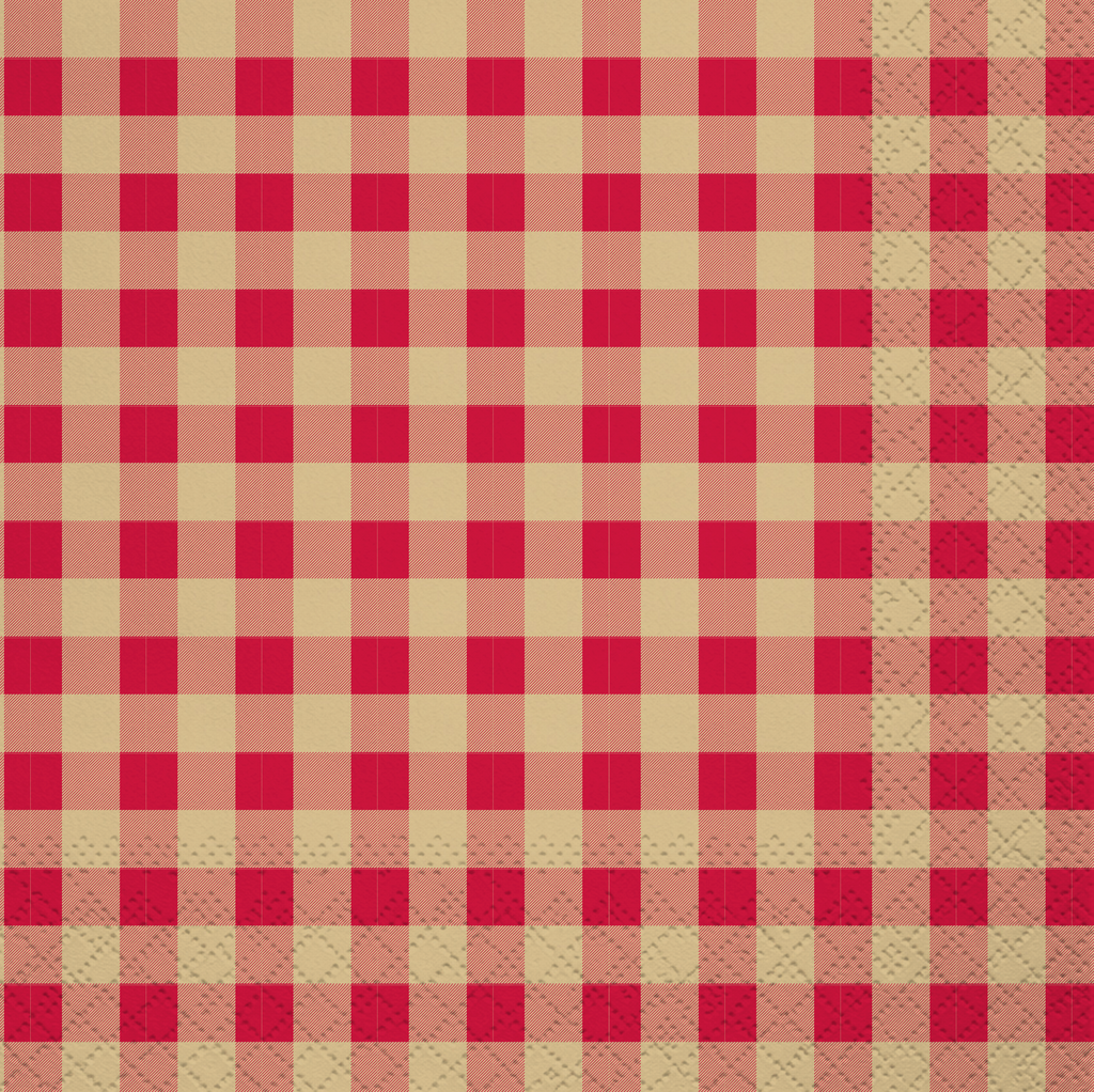 Summer Grill N Chill Lunch Napkin, 16 ct