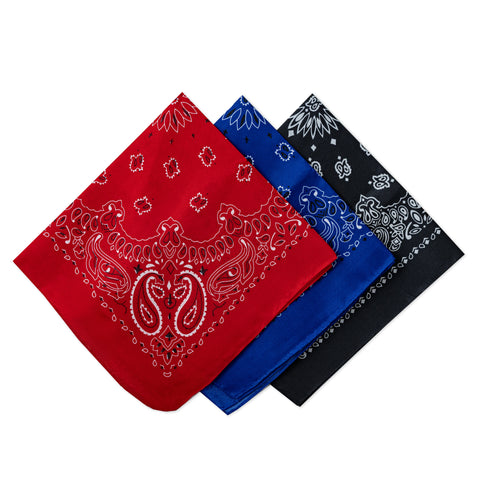 Paisley Bandanas 10-pk