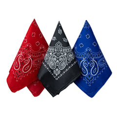 Paisley Bandanas 10-pk