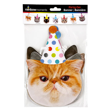 Party Cats Banner